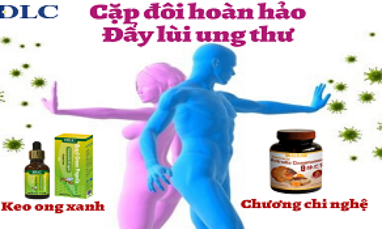 DANH SÁCH ĐẠI LÝ NẤM NGƯU CHƯƠNG CHI & KEO ONG XANH BRAZIL