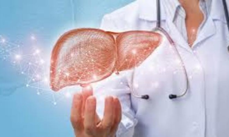 BIẾN CHỨNG CỦA BỆNH GAN VÀ TÁC DỤNG CỦA NẤM NGƯU CHƯƠNG CHI