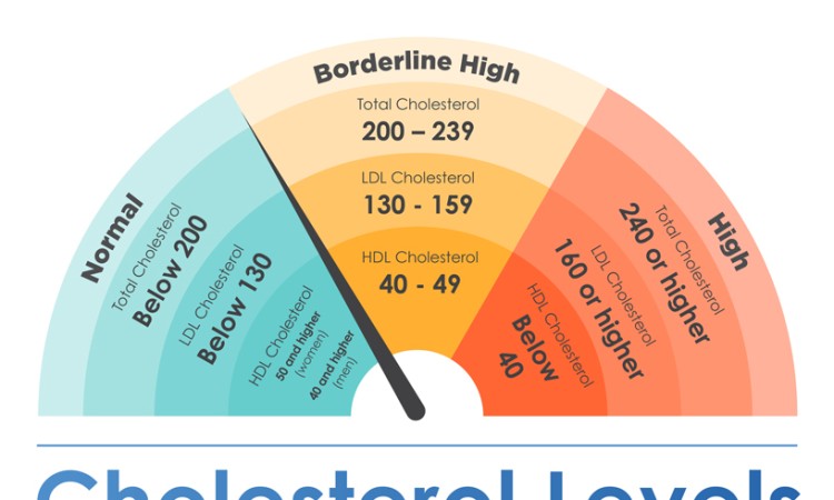 NHỮNG VẤN ĐỀ LIÊN QUAN ĐẾN CHOLESTEROL VÀ TÁC DỤNG CỦA TỎI ĐEN 