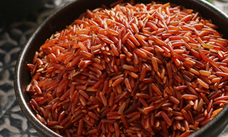 GẠO LỨT VÀ ENZYME GẠO LỨT ĐỎ CỦA DLC