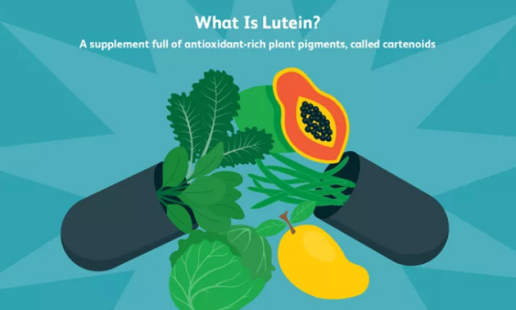 Lợi ích sức khỏe của Lutein