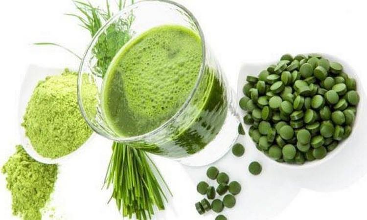 Những công dụng tuyệt vời của tảo xoắn Spirulina đem lại cho người sử dụng