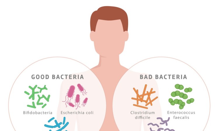 LỢI KHUẨN ĐƯỜNG RUỘT - TÁC DỤNG KHÔNG NGỜ?