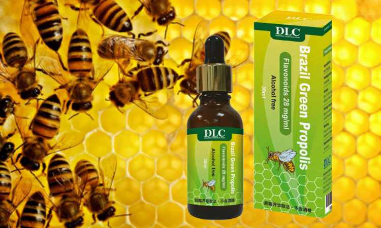 Tác dụng của keo ong - Những minh chứng từ kết quả nghiên cứu khoa học