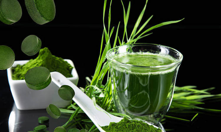 Hướng dẫn sử dụng tảo spirulina