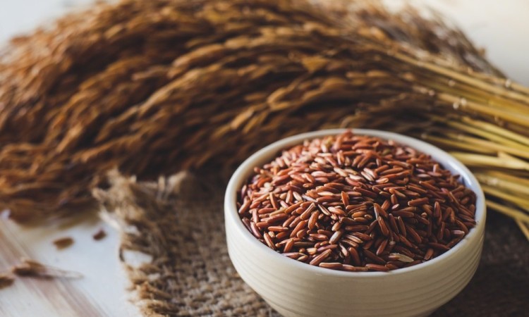 GẠO LỨC VÀ NHỮNG CÔNG DỤNG THẦN KÌ