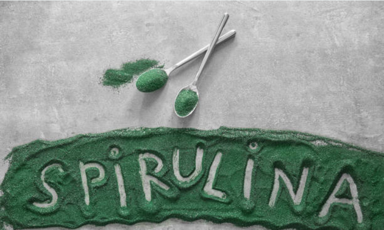 Công dụng của tảo xoắn Spirulina