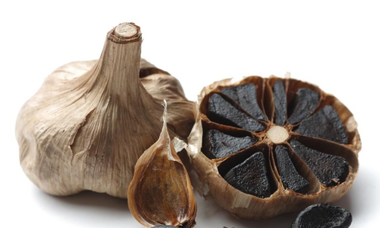 TỎI ĐEN VÀ NHỮNG CÔNG DỤNG CỦA TỎI ĐEN