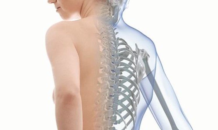 ĐỐI TƯỢNG NÀO CÓ NGUY CƠ MẮC BỆNH LOÃNG XƯƠNG