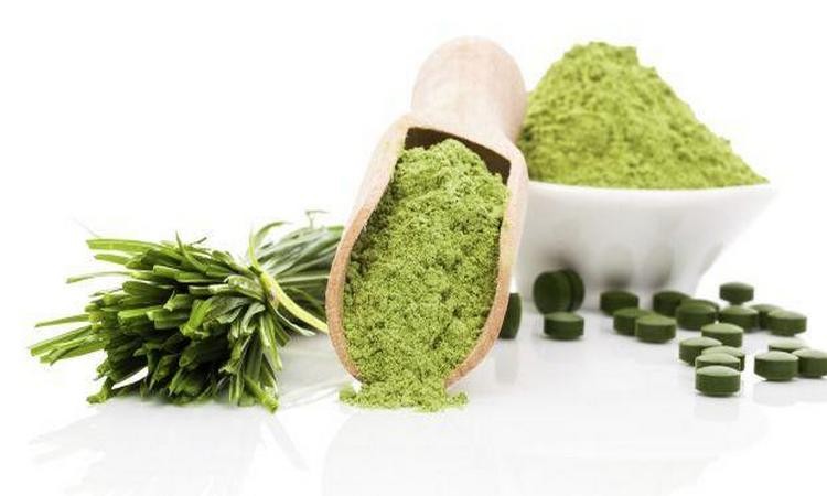 Những thông tin về tảo xoắn Spirulina - Tảo xoắn Spirulina là gì? 