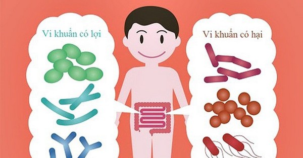 Vì sao cần bổ sung lợi khuẩn?