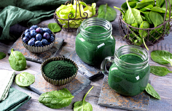 Những công dụng tuyệt vời của tảo xoắn Spirulina đem lại cho người sử dụng