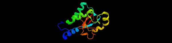 Tác dụng của Enzyme là gì? Những điều bạn cần biết về Enzyme